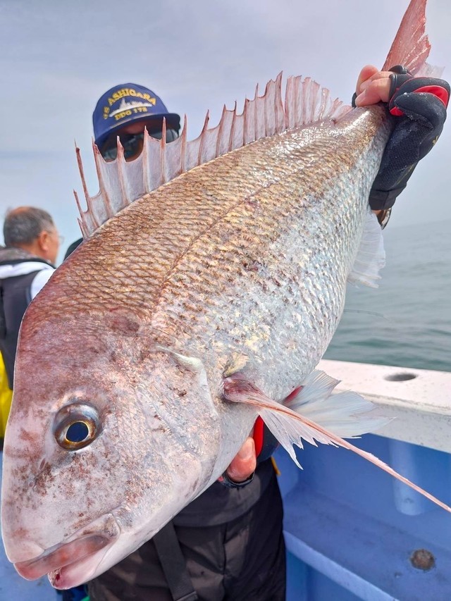 流山の大物釣りキチさんの釣果