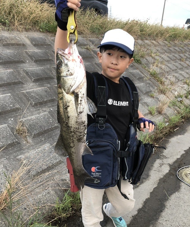 釣りチカさんの釣果
