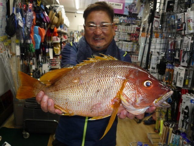 ミスター磯師さんの釣果