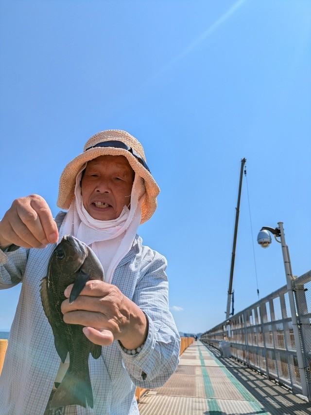 ゆいさんさんの釣果