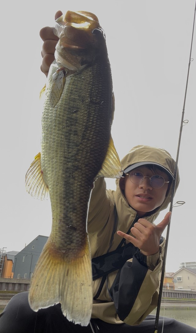 れいとせんせいさんの釣果