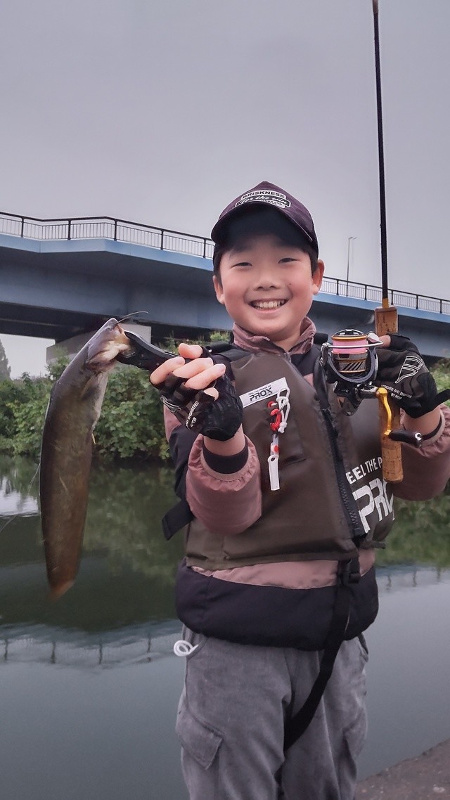 山鳥の沢下りさんの釣果
