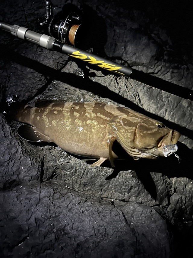 おとうふさんの釣果