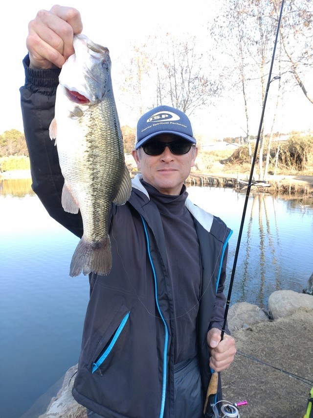 ウッチー係さんの釣果