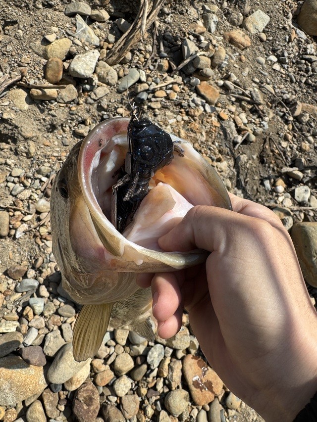 terakou0302さんの釣果