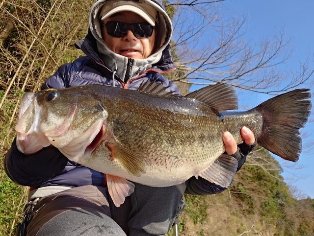 Ｄｅｓｔｒｏｙｅｒさんの釣果