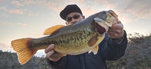 ヒロ＠．／さんの釣果