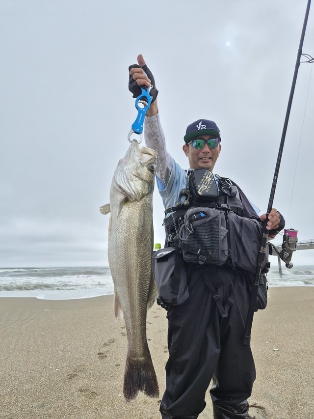 三度の飯より釣り好き中年さんの釣果