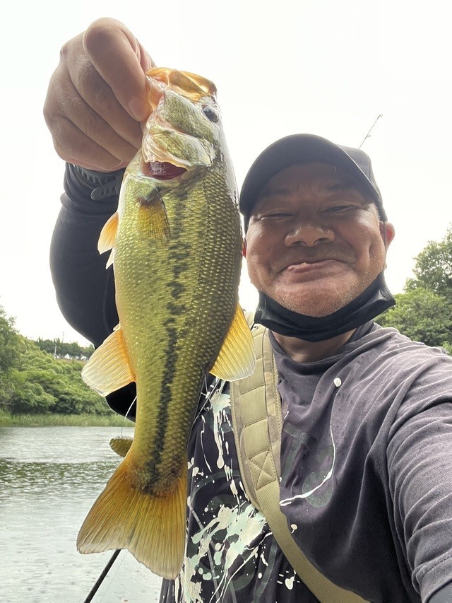 しんさまさんの釣果