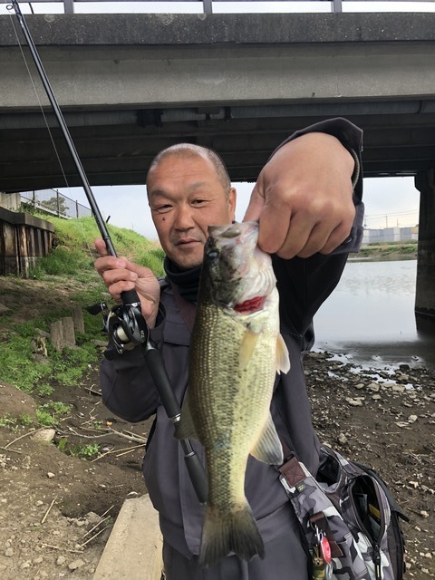 春日部陸っぱりマンさんの19年4月1日16時27分の釣果 ブラックバス みんなの釣果 キャスティング釣り自慢