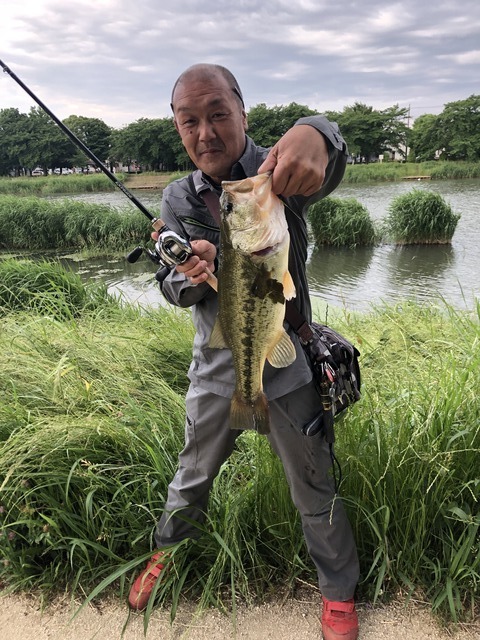 春日部陸っぱりマンさんの19年5月29日16時46分の釣果 ブラックバス みんなの釣果 キャスティング釣り自慢