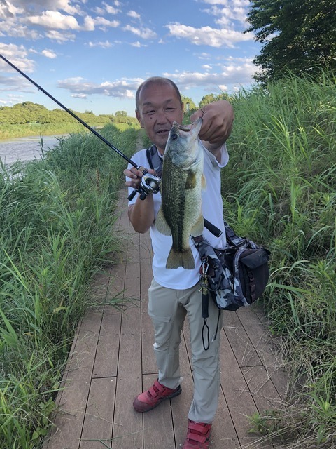 春日部陸っぱりマンさんの19年6月16日16時50分の釣果 ブラックバス みんなの釣果 キャスティング釣り自慢