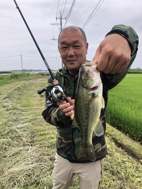 春日部陸っぱりマンさんの19年7月11日16時35分の釣果 ブラックバス みんなの釣果 キャスティング釣り自慢