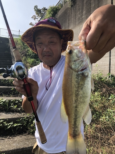 春日部陸っぱりマンさんの19年9月6日08時38分の釣果 ブラックバス みんなの釣果 キャスティング釣り自慢