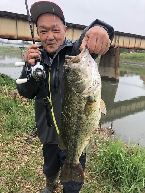 春日部陸っぱりマンさんの年4月1日11時18分の釣果 ブラックバス みんなの釣果 キャスティング釣り自慢