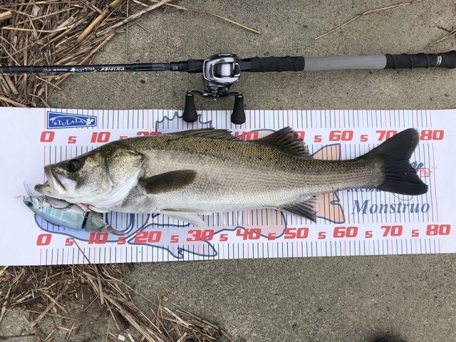 【美品】DRT 79REMIX 79リミックス　ゴースト　ツララ　フレンジー 美品】DRT 79REMIX 79リミックス ゴースト ツララ フレンジー - メルカリ